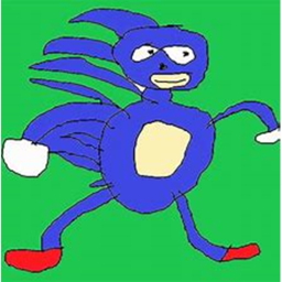 sanic chase's you