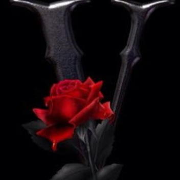 v🌹