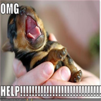 funny puppy Roblox decal
