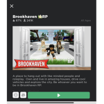 Make Brookhaven fun