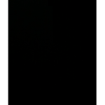 irenicc_i