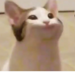 Hat_Hay