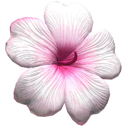Tropical Hibiscus Hair Flower White Pink Roblox item