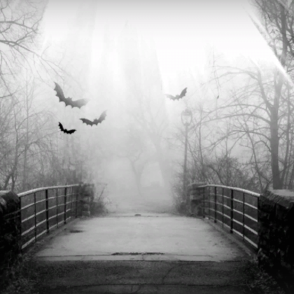 Gothic Forest Bridge