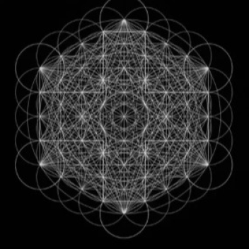 2 Hollis STAR TOUR - Joe Bart ENT