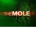 The mole roblox