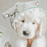 CreamqIce
