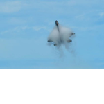 United States Air Force | United States Forces