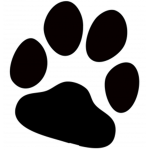 The wolf paws