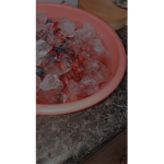 le cocorachas :)