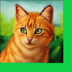 Warrior Cat Fan Group ™