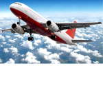 PET PLANE