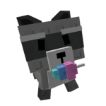 Raccoon CO Group Thumbnail