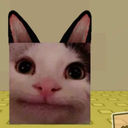 Player Ever Star Walls icon