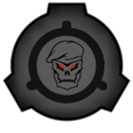 The Rapid Response Team Of The Foundation
