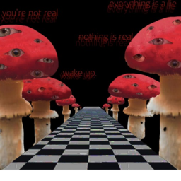 The Dreamscape