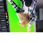 Horse Man Group