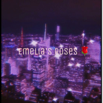 Emelia’s roses