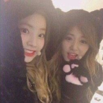 Sugar cubes <33