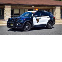 Drive Police and Sheriff cars icon