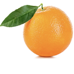The oranges.
