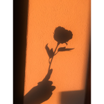.Silhouette.