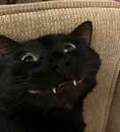 TheInsidersOG