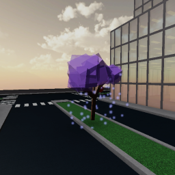 Aesthetic City