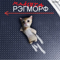 Рэгморфик[1.8]Update icon