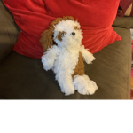 Dog and puppy’s United