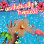 ~ aesthetically tropical ~