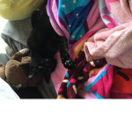 Elisha’s kitty