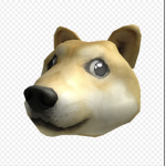 this is doge group