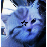~Love Apperal~