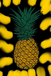 PINAPPLE Group!!