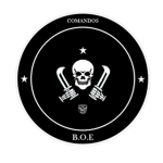 BOE Brigada de Operaciones Especiales