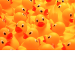 DUcKLinG sQuAD!!