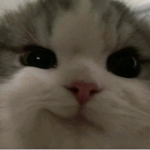 ɢᴏᴅ ᴅᴀᴍɴ