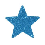 Blue Stars Cheer Squad
