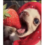 Strawberry and things