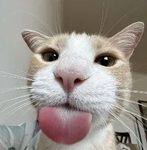 MrFattyMcFancy