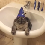 PugGameing