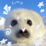 ꒰º ﻌ º꒱✧˖°