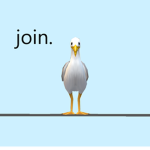 -Birds-