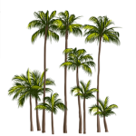 Paradise Tycoons
