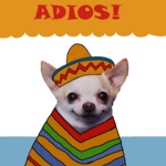 Adios!!