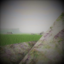field