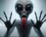 RandomGroupCusYeas