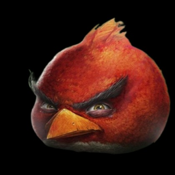 testing grounds for birds