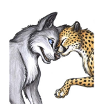 Wolf+cheetah=extreme friendship